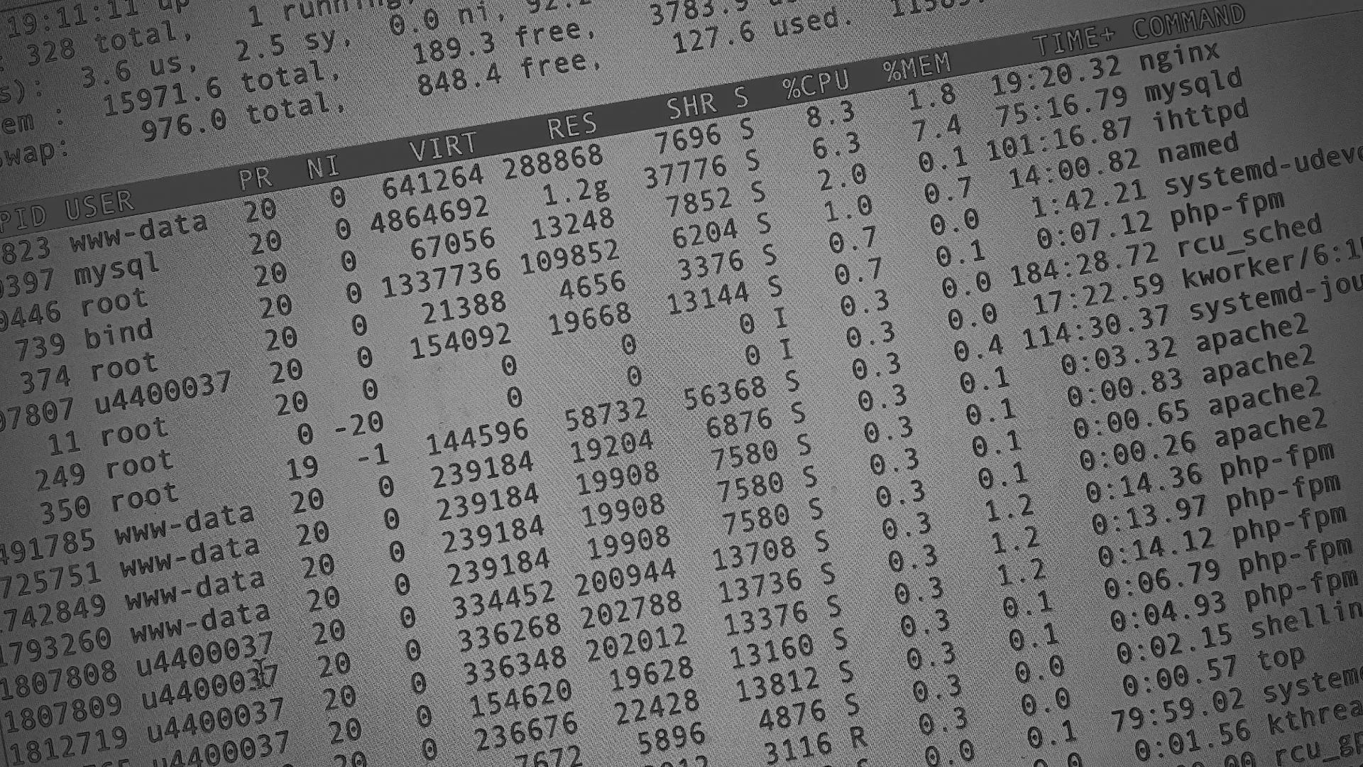 Настройка сервера в Эртиле