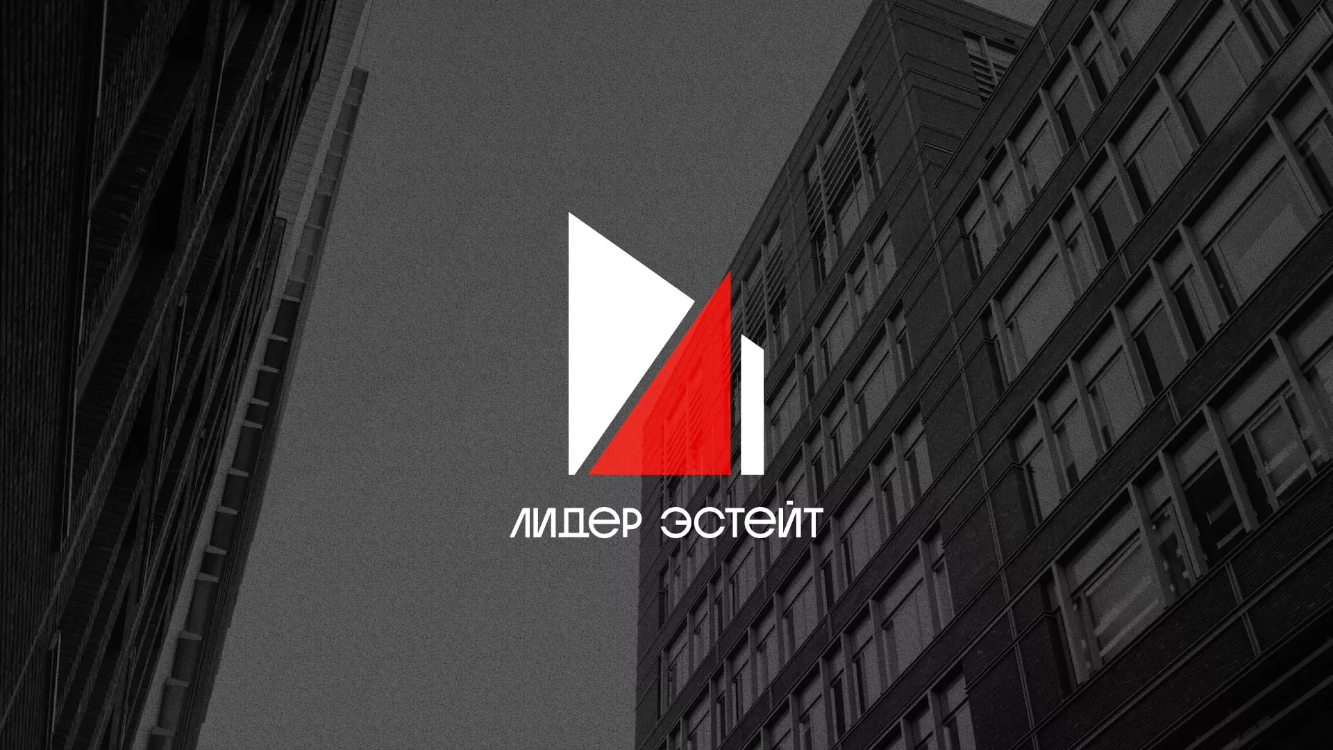 Сделали логотип для агентства недвижимости «Лидер Эстейт» в Эртиле